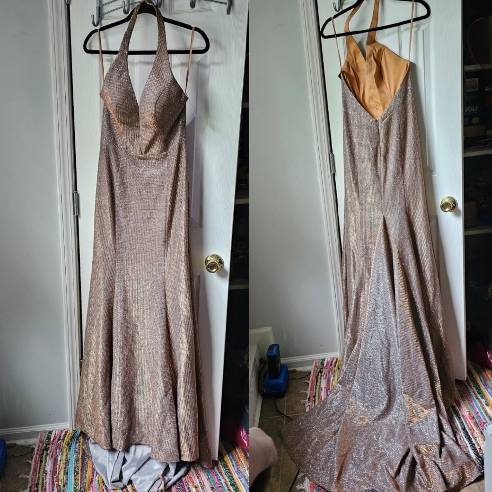 Colette Mon Cheri Champagne Sparkly Rose Gold Hi Lo Train Gown Dress